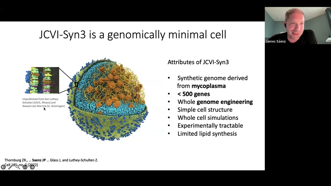 Build-a-Cell seminar James Saenz: Harnessing minimal cells to understand the living membranes