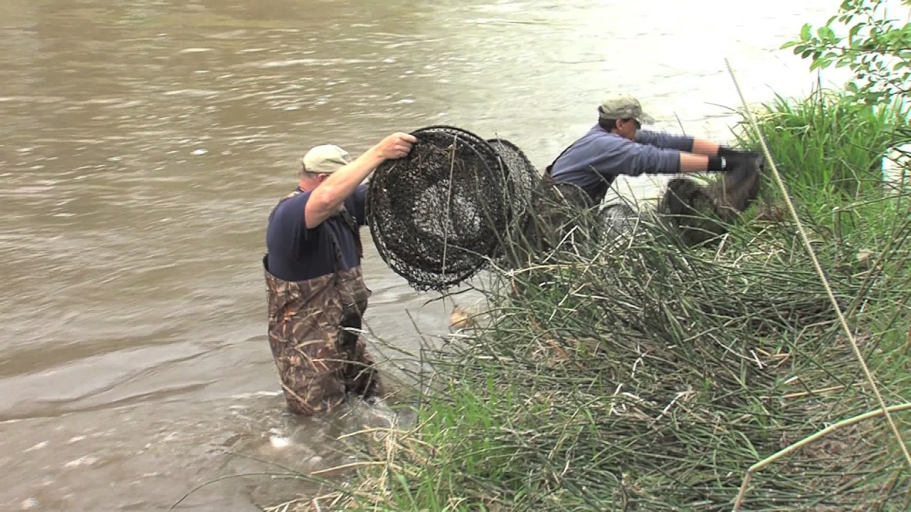 Spalding Fish Bypass