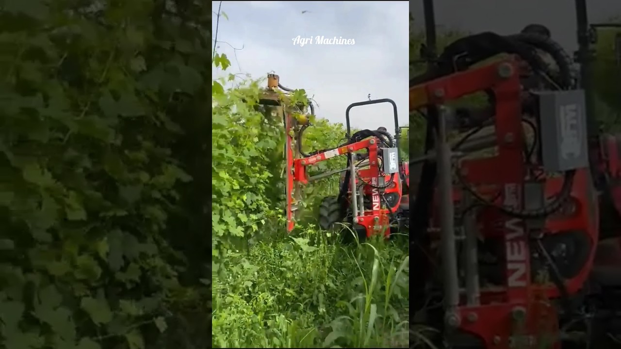 Pruning Machine CM-S For Vineyards || Made By BFM Italy || #shorts