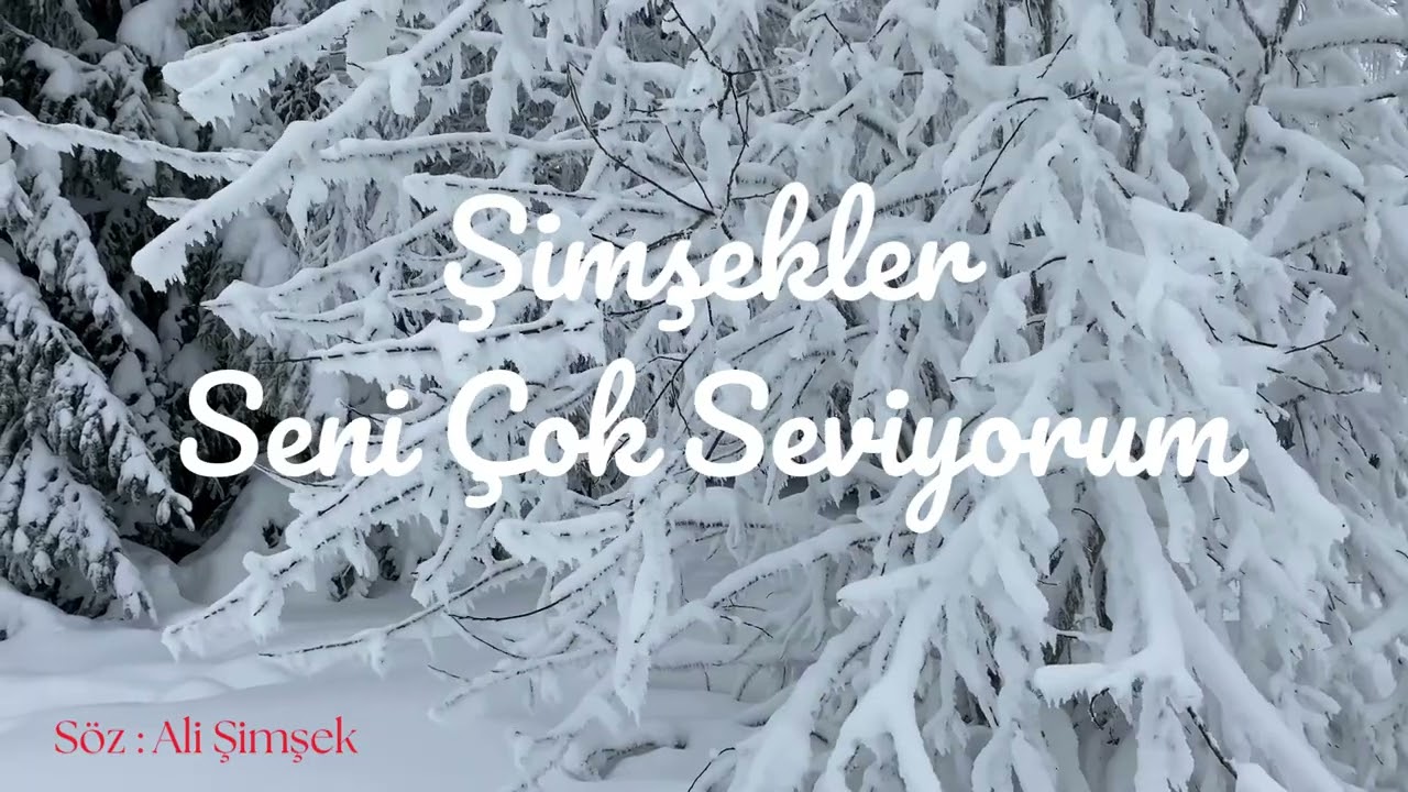 Şimşekler - Seni Çok Seviyorum (Cover)