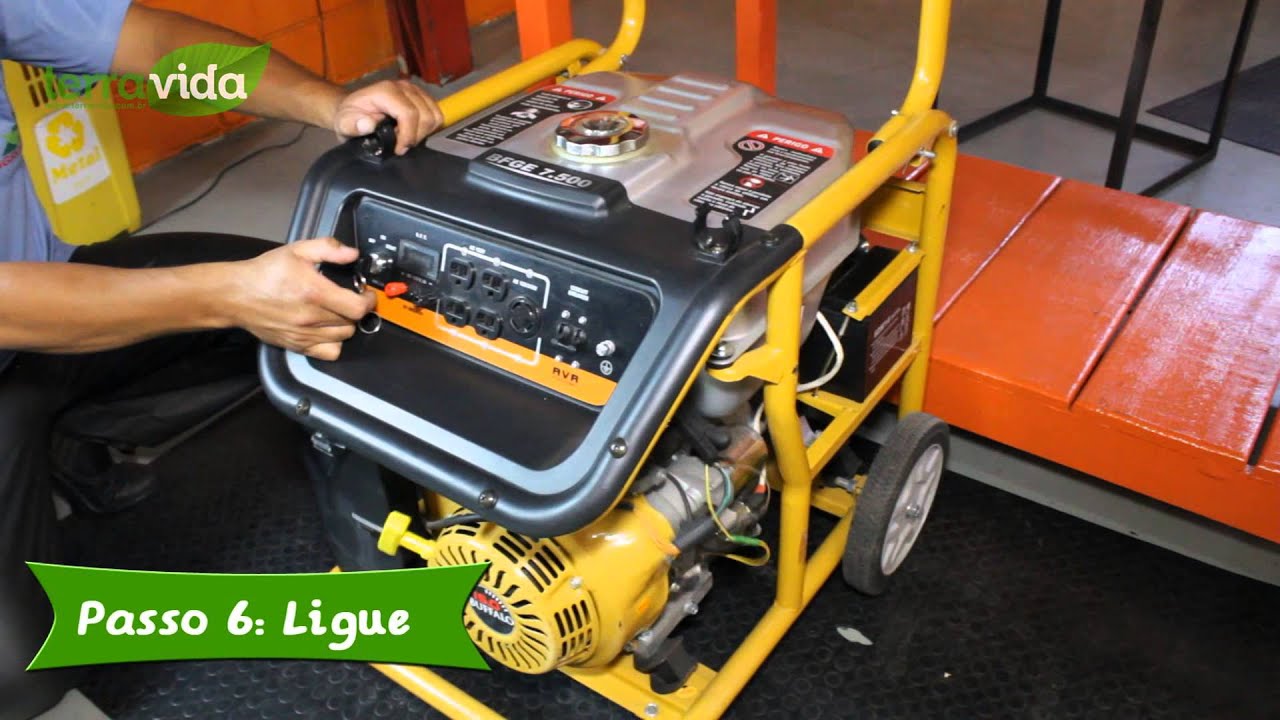 Gerador a Gasolina Buffalo BFGE 7500 Plus