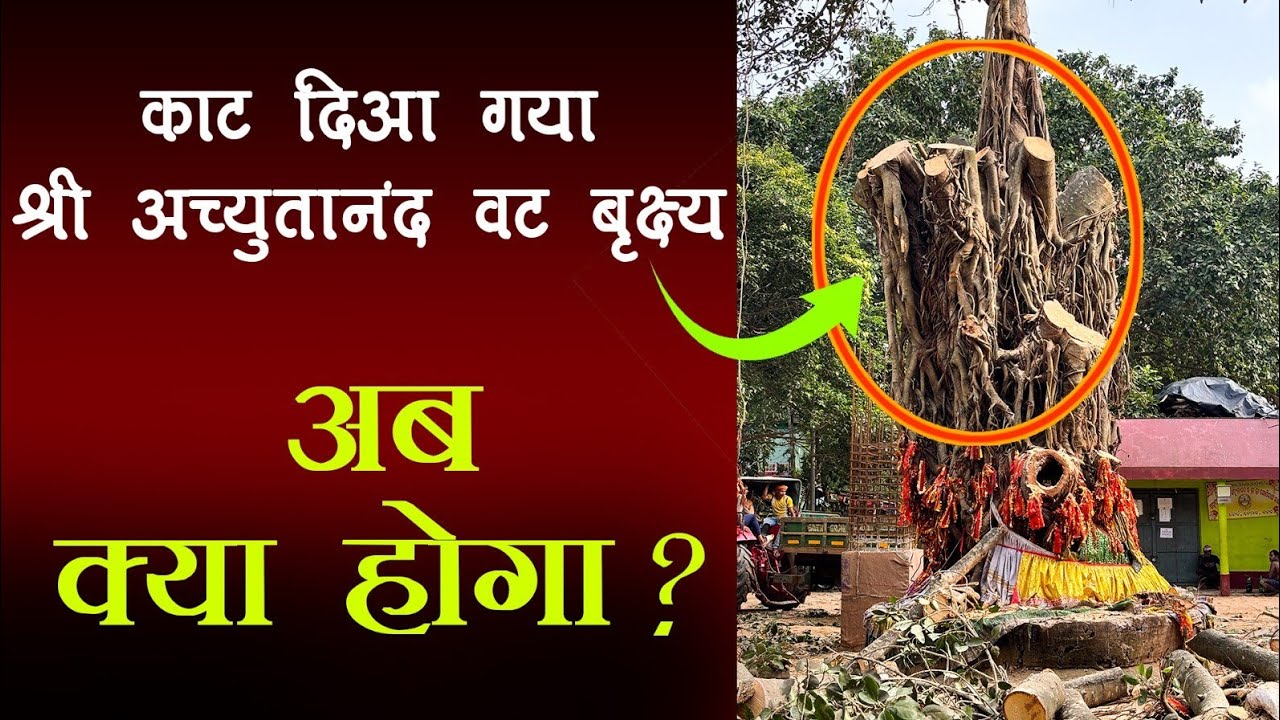 Nemal Bata Cutting  | Panchsakha Achyutananda Pitha | Malika Bhavishyavani| @SatyaBhanjaHindi 