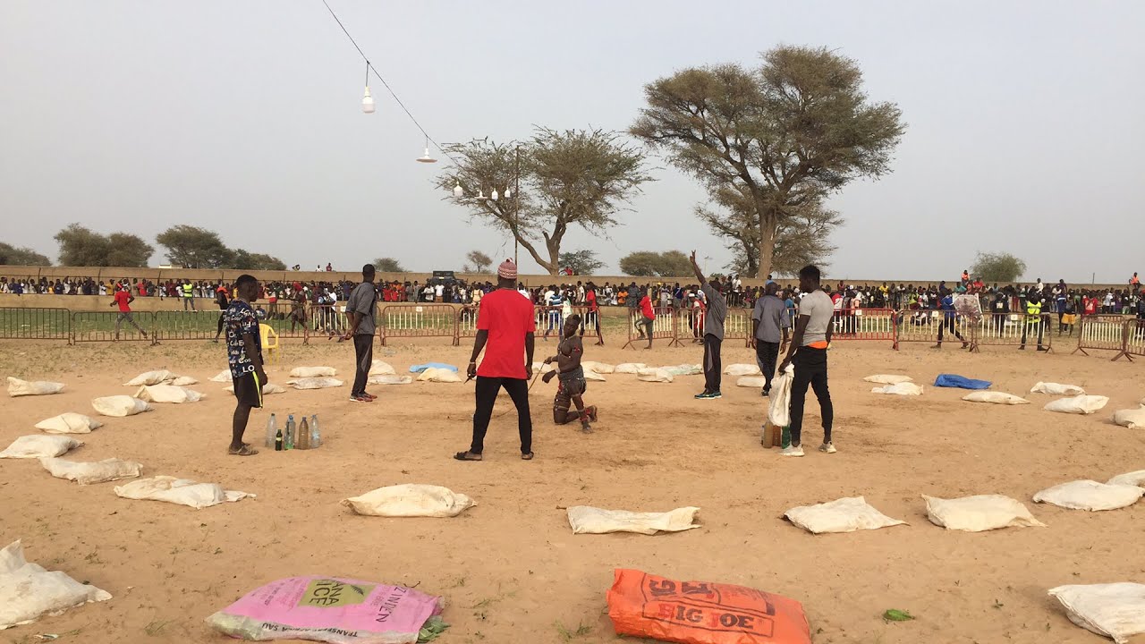 🛑 En direct Touba Toul Lamb Assane NDIAYE (Baol production)