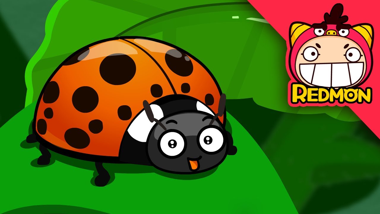A horsefly and a happy insect | Insect world #14 | REDMON