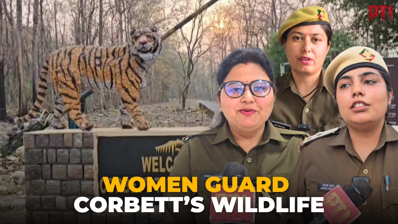 Women lead wildlife conservation efforts at Corbett Tiger Reserve on International Women’s Day