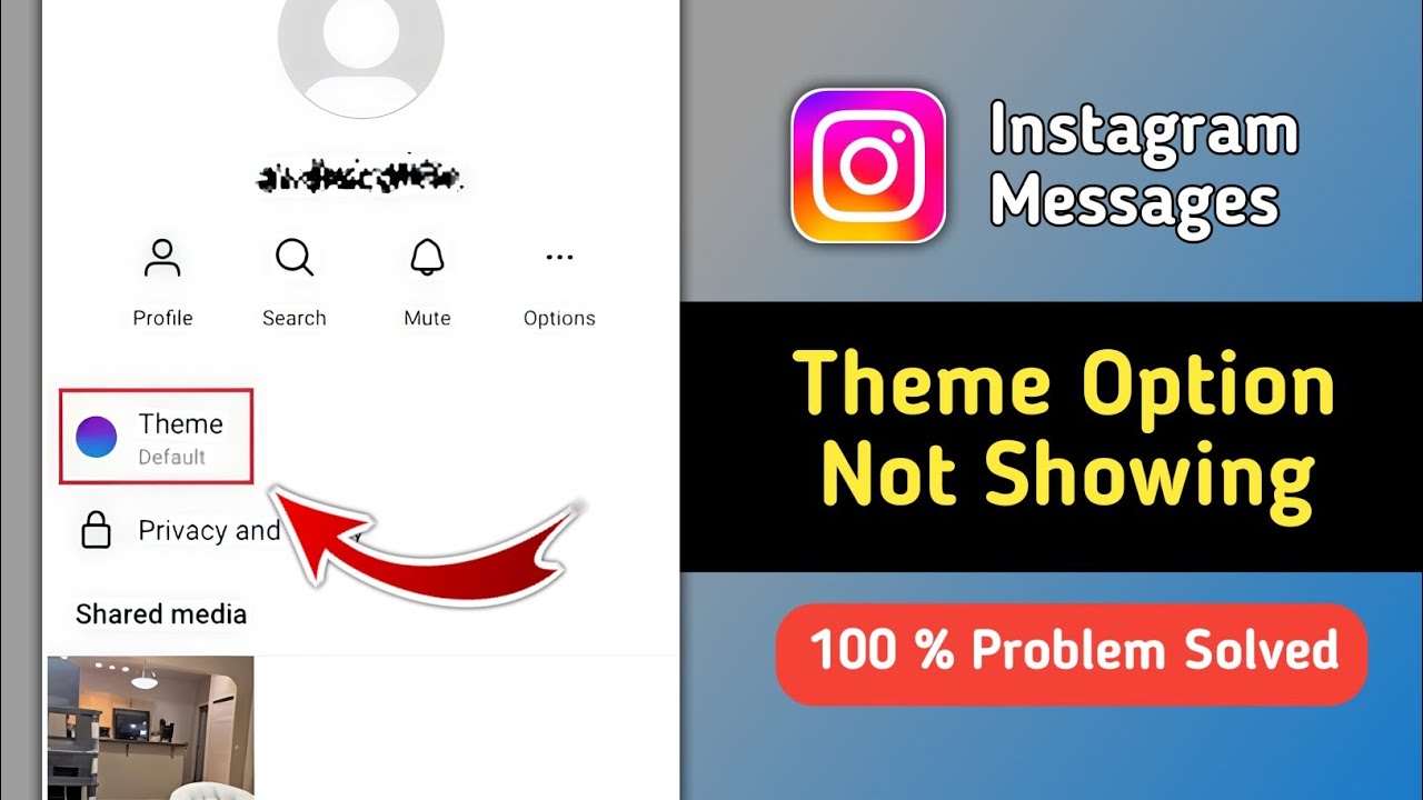 Fix Instagram Chat Theme Option Not Showing Problem | Instagram Theme Option Missing Problem