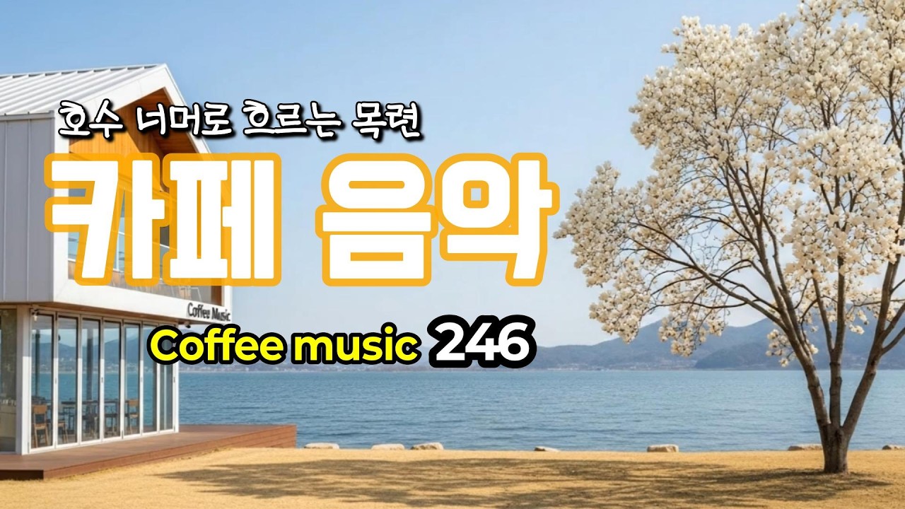 그냥 틀어 놓으세요🌸봄 햇살 머무는 오후의 카페 음악 246☕ 카페에서 듣기 좋은 노래 | Coffee music 커피 음악Ⓡ