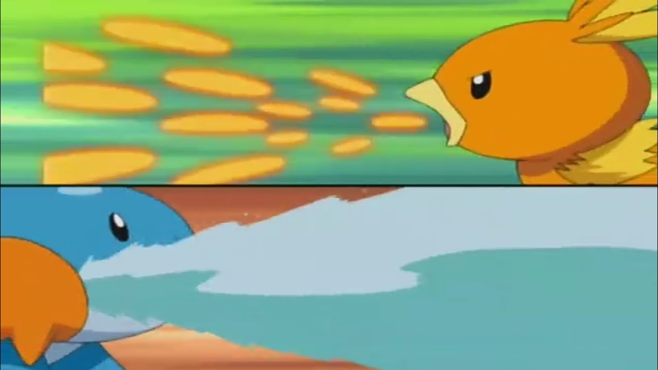 Torchic Fight With Mudkip