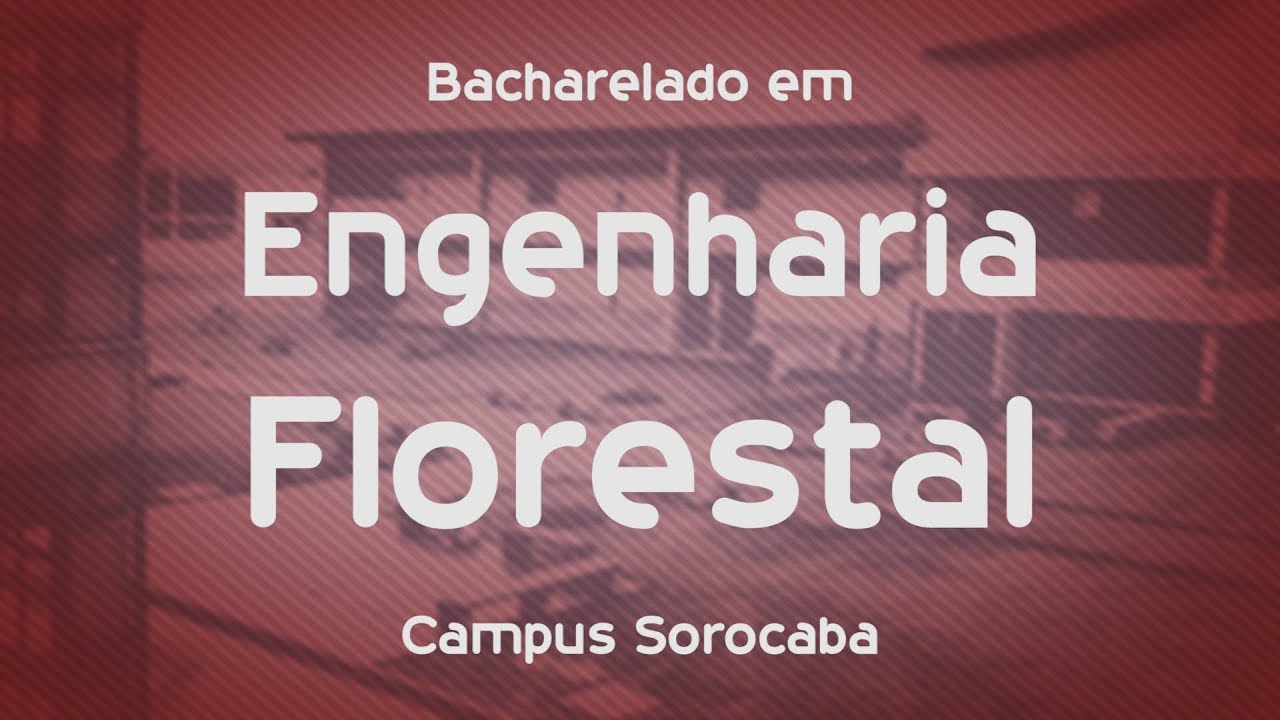 Que curso eu faço? - Engenharia Florestal - UFSCar Sorocaba