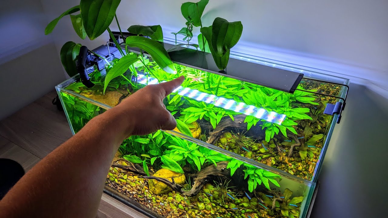 LUMINÁRIA PARA AQUÁRIO PLANTADO - SOMA S-500