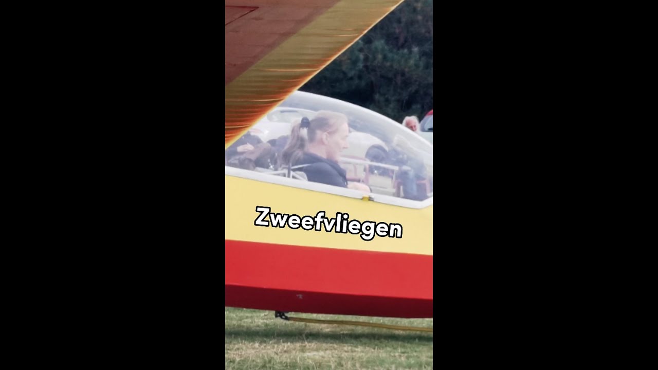 Zweefvliegen in Terlet