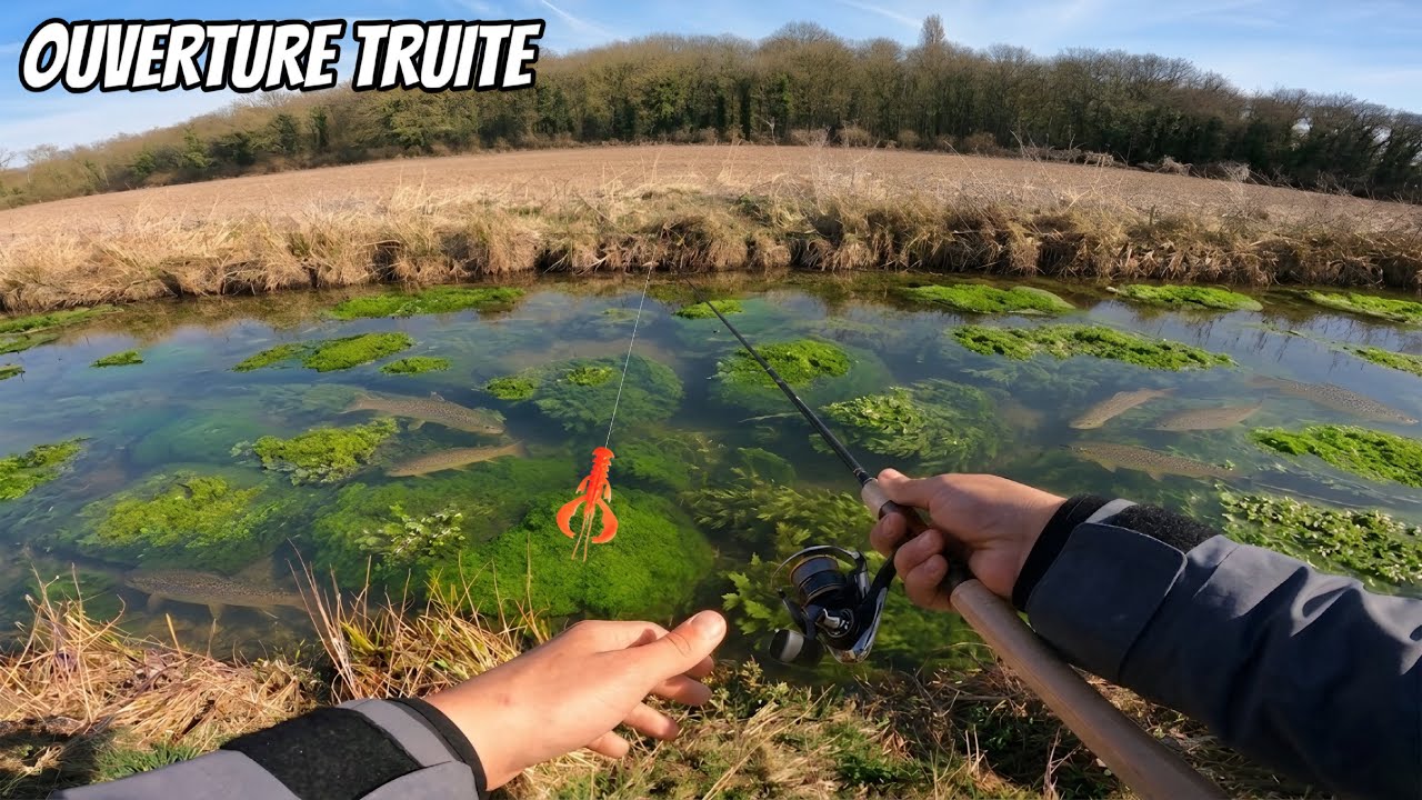 Je PÊCHE la TRUITE en EAU CLAIRE à l’ECREVISSE pour cette OUVERTURE TRUITE !