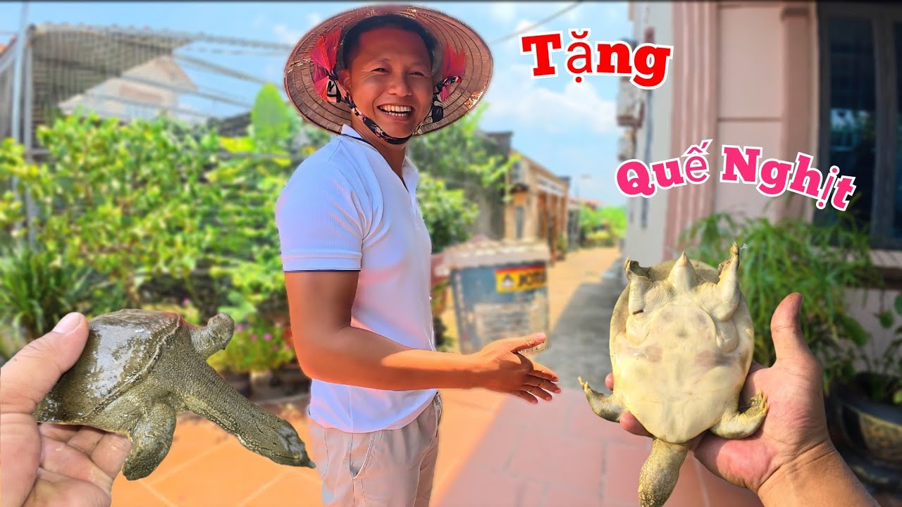 Tặng Quế Nghịch Qu&agrave; Qu&yacute; V&agrave; Giật M&igrave;nh Thấy C&aacute; Tr&ecirc; Bạch To Đ&ugrave;ng.....