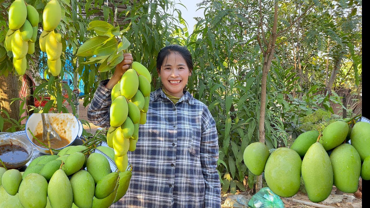 Let's eat mangoes.