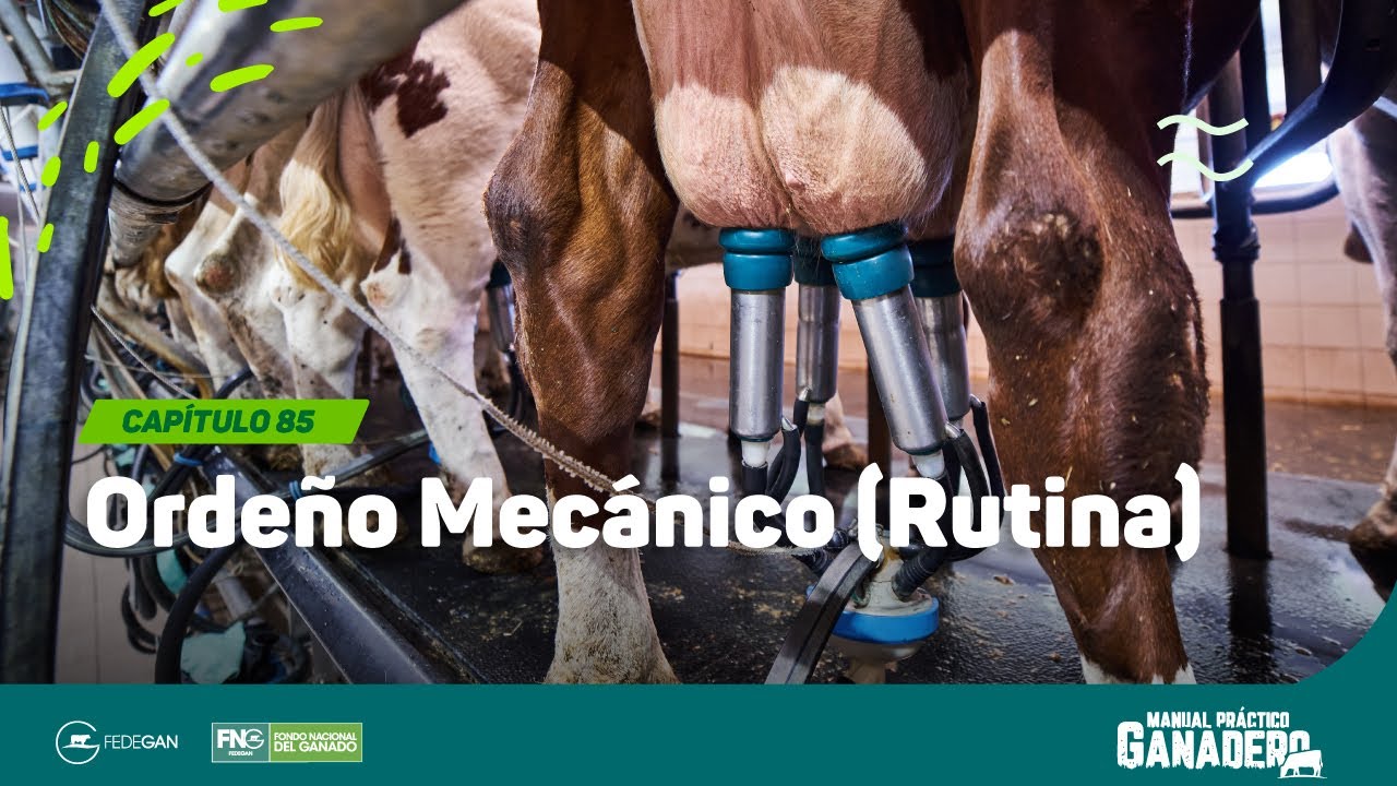 Cap 85 - Ordeño Mecanico (rutina) 