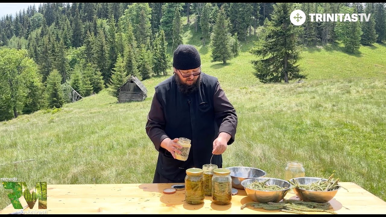 Sirop din muguri de pin: Dar al naturii || Remedii mănăstirești