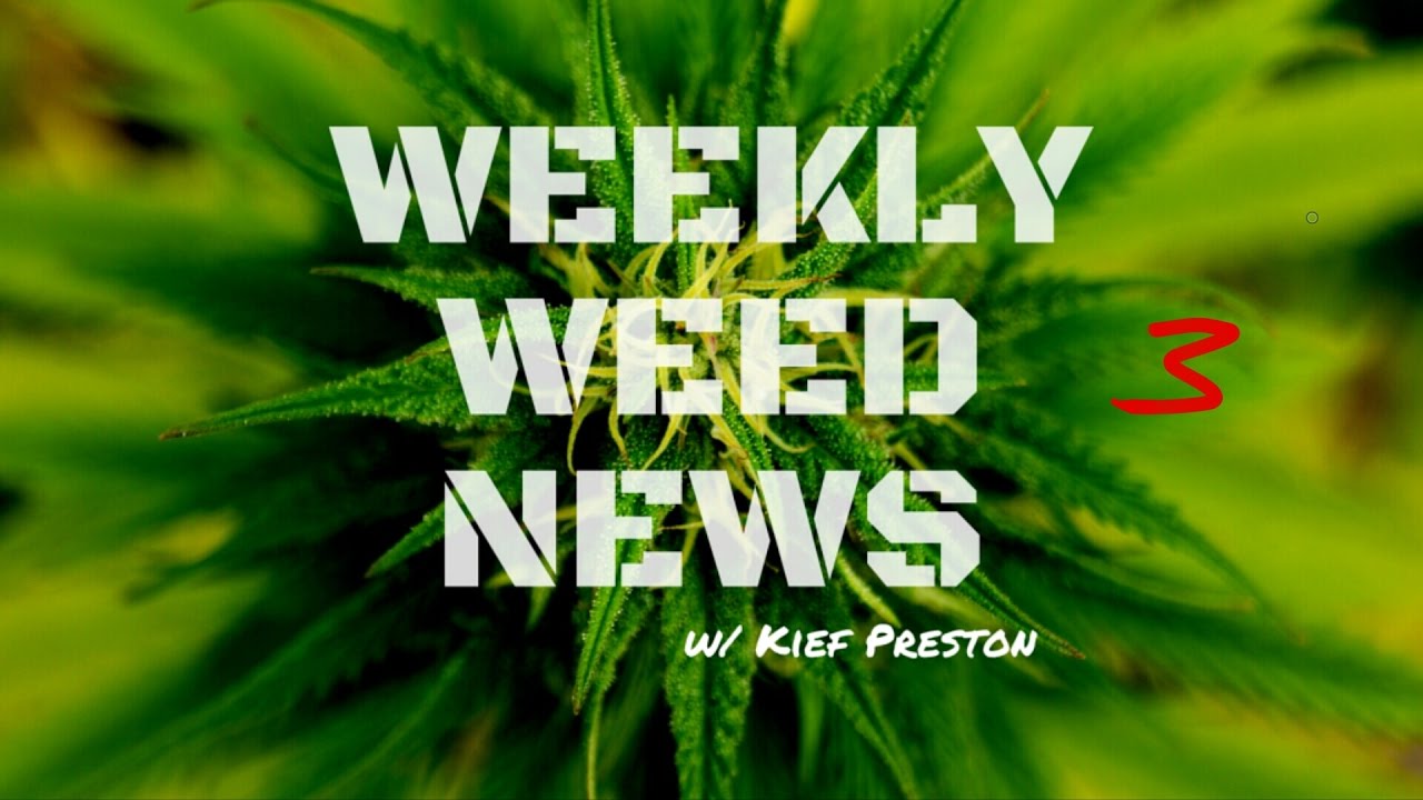 Weekly Weed News w/ Kief Preston - Episode 3 -