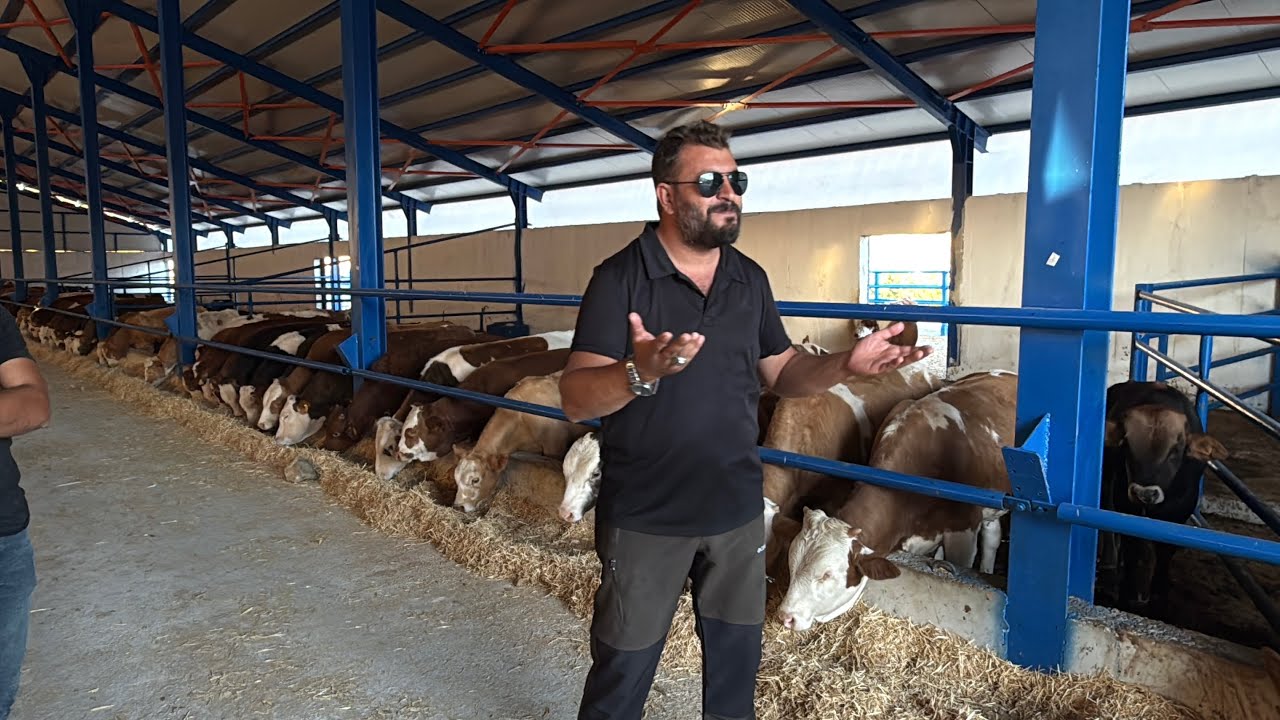 YENİ ÇİFLİKTEYİZ