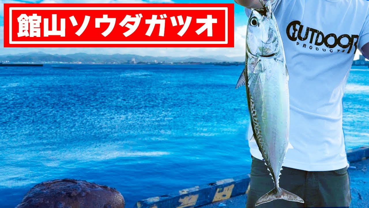 【館山ソウダガツオ】急遽ソウダガツオ釣りしてみた！