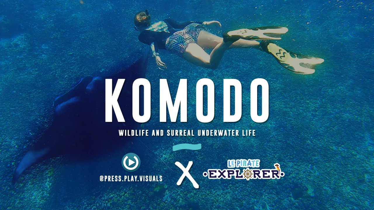 Komodo, wildlife and surreal underwater life | Le Pirate Explorer