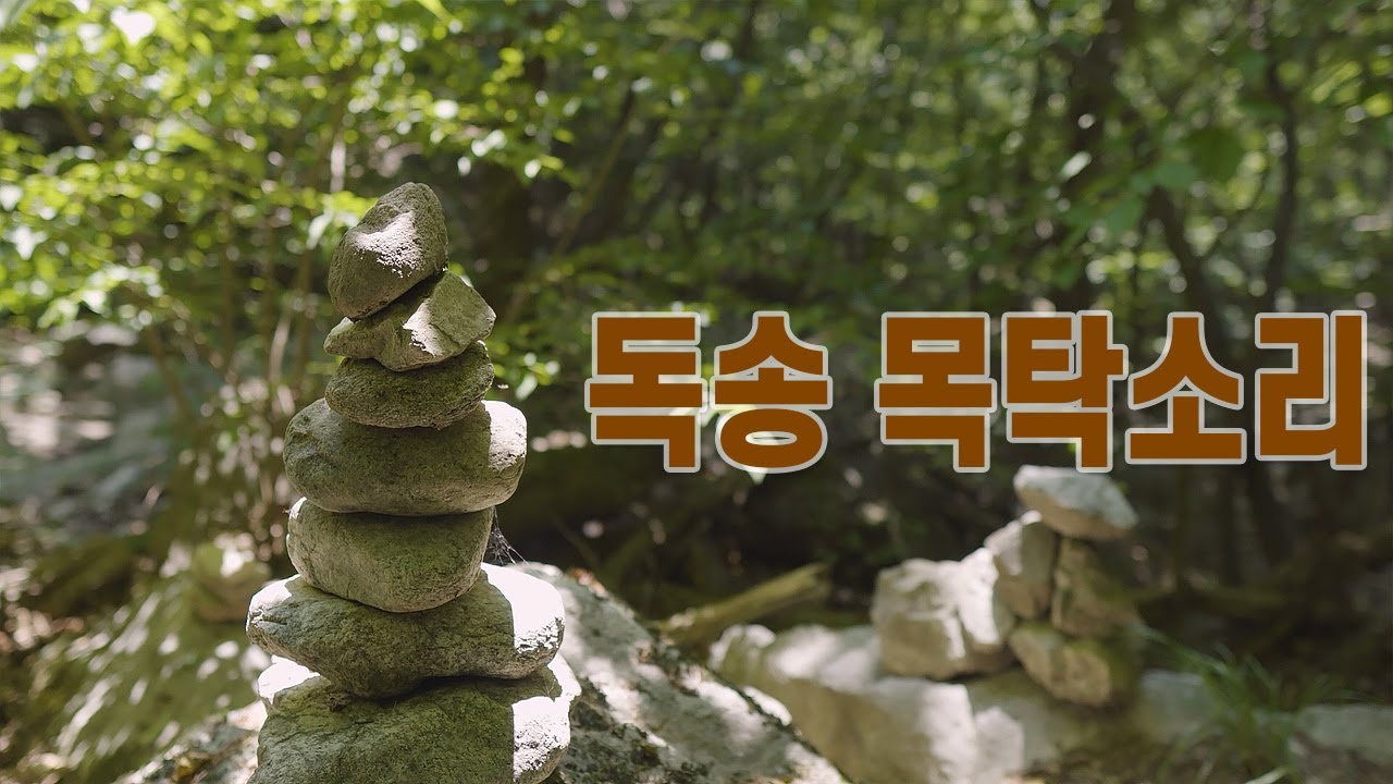 독송 목탁소리 | Buddhist meditation sounds