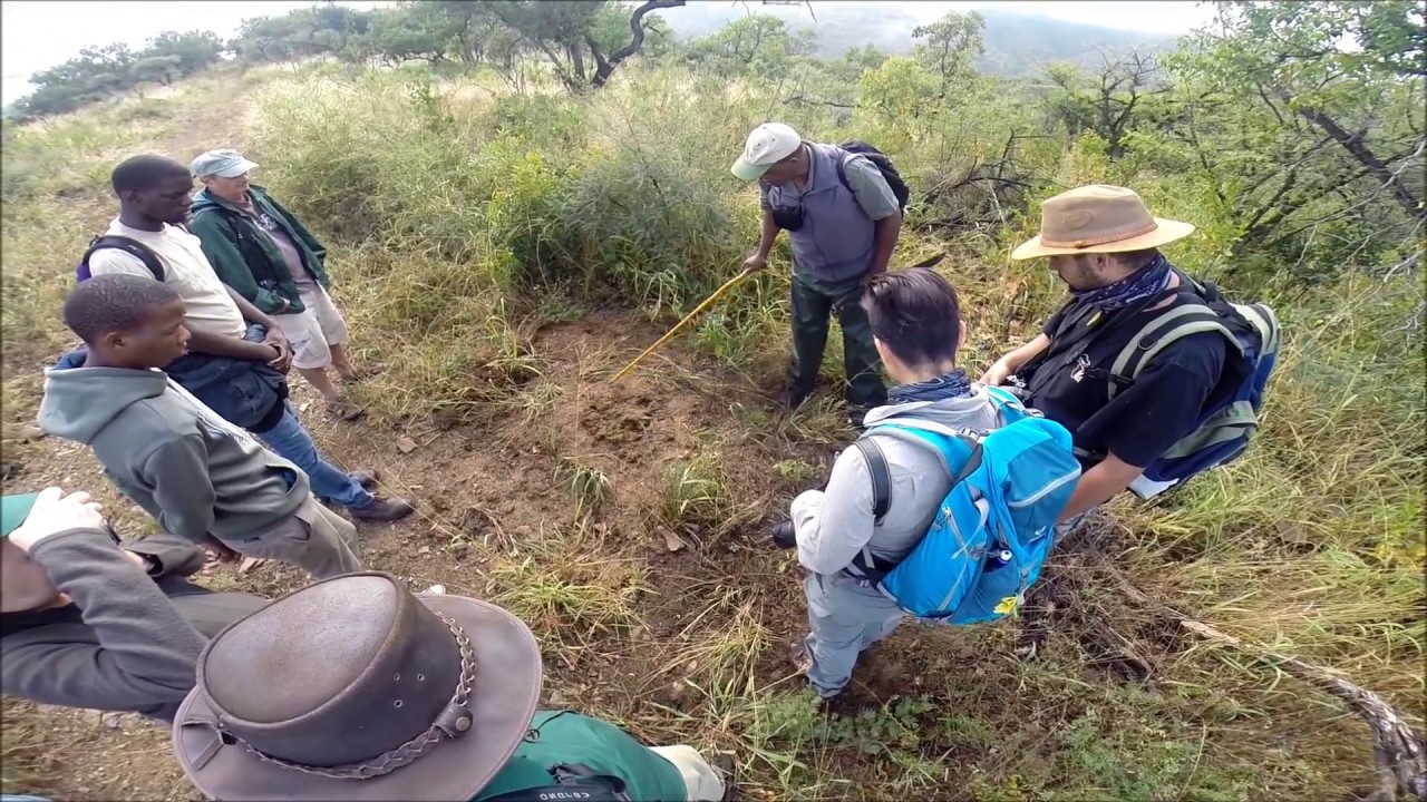 Somkhanda Game Reserve Rhino Trail