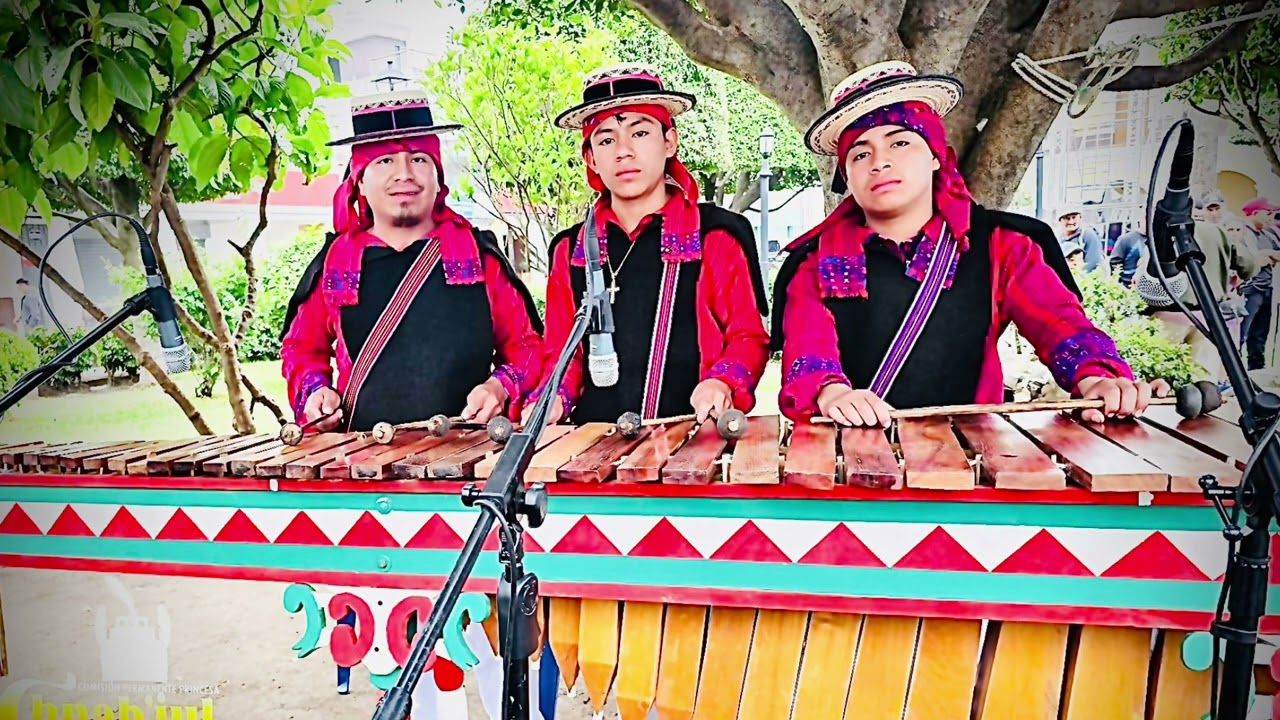 Adiós adiós ((( marimba los primos)))