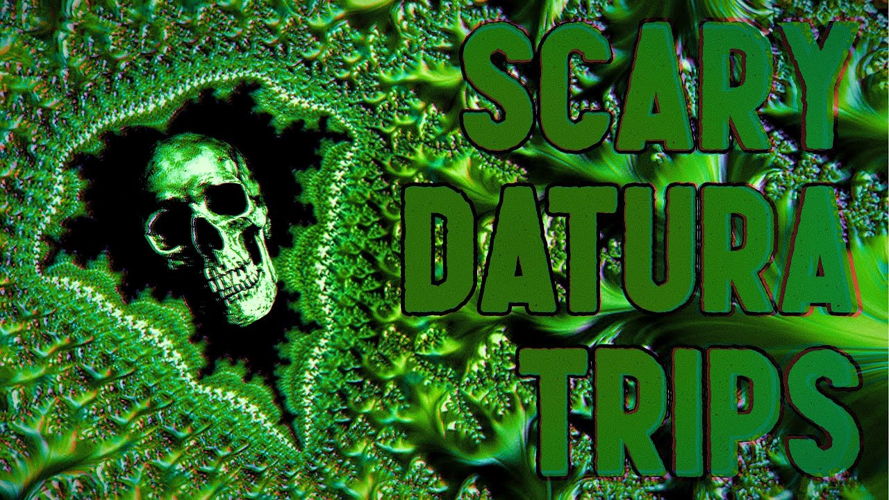 Datura Trips Gone Horribly Wrong