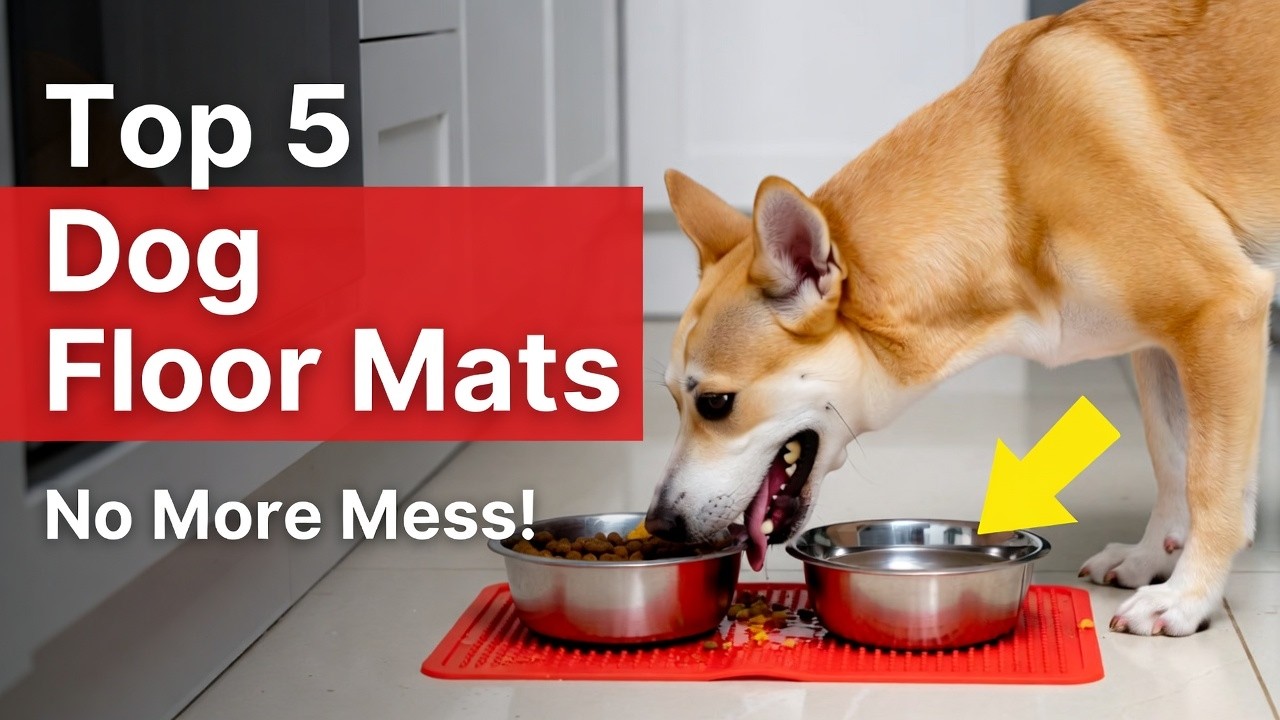 Top 5 best dog floor mat non slip review (Hidden Gem) spill proof buying guide 2026