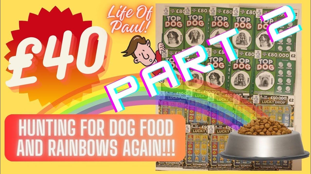 Part 2 of hunting for Dog Bowls and Rainbows on Scratch Cards! Will we strike it rich?