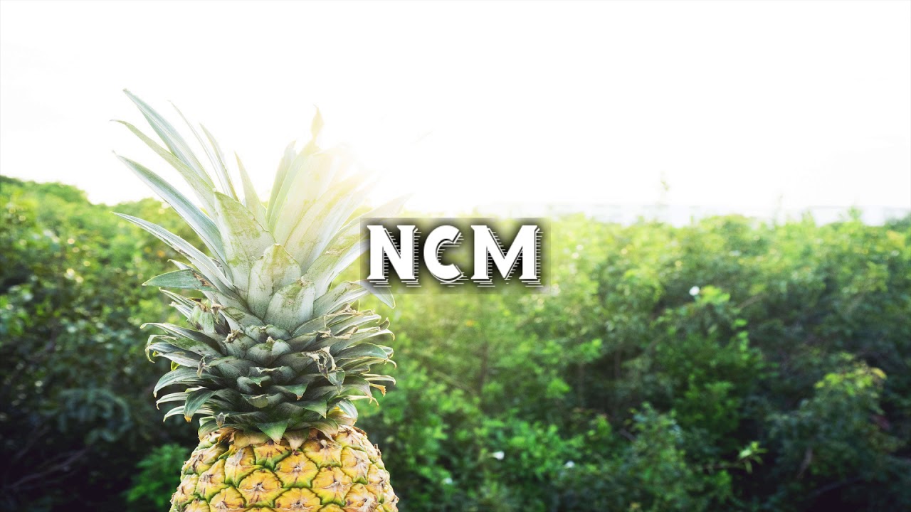 Simon More - Summer Vibes (No Copyright Music)