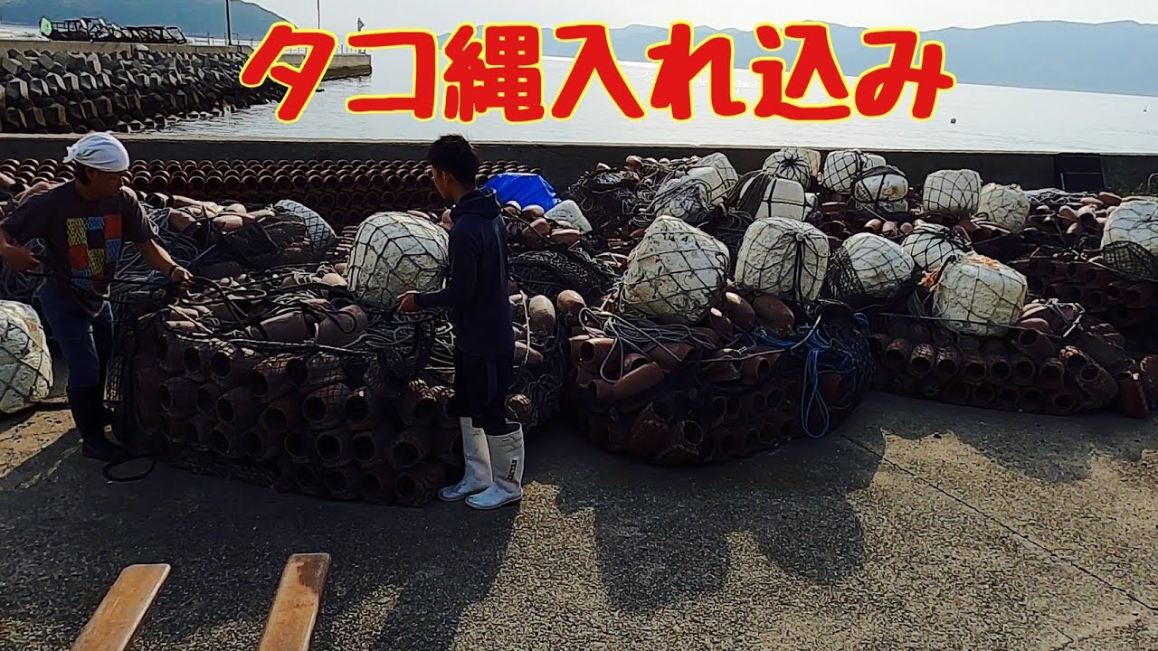 【タコ縄漁】ひと月遅れでタコ縄を投入してみました