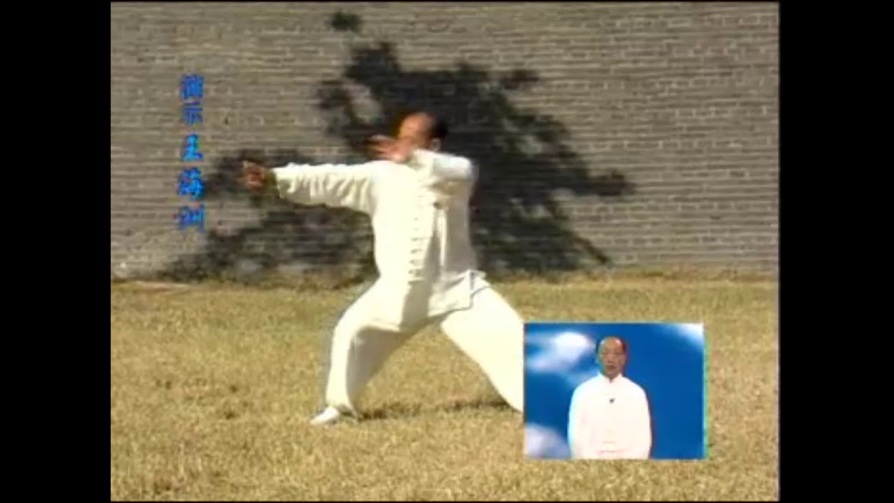 Тайцзицюань Чжао Бао тайцзи // Wudang Zhaobao taiji wushu qigong tai chi