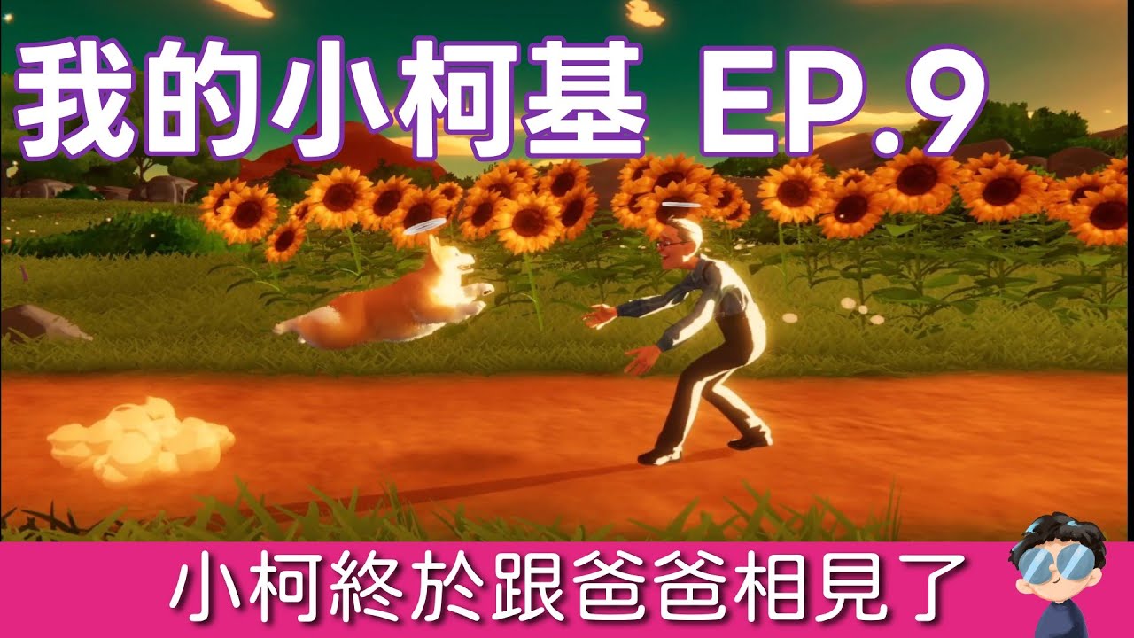 最終回！🎉 小柯與爸爸的超級感動大團圓！這就是最完美的柯基故事結局【我的小柯基 EP.9】