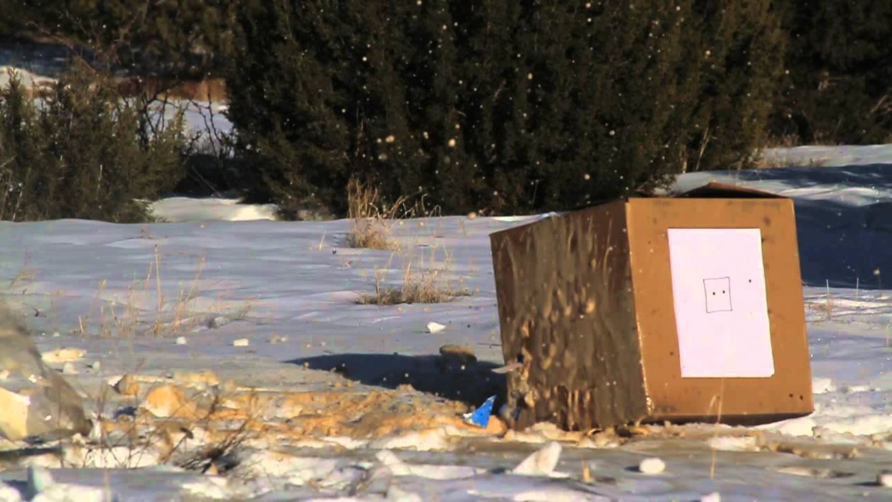 DPMS LR-308 Slow Motion Distance Test