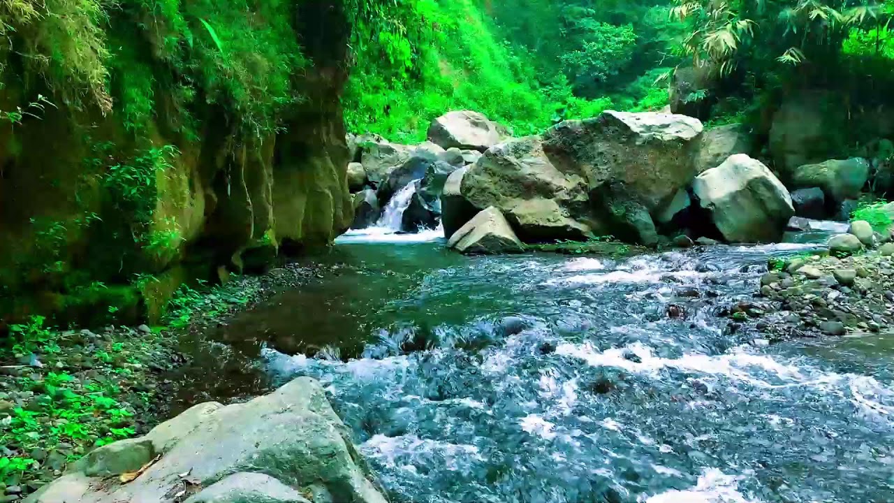 Restore your Soul by the River, Soft Sound and Forest River Sounds | sleep - relax - Stress Relief