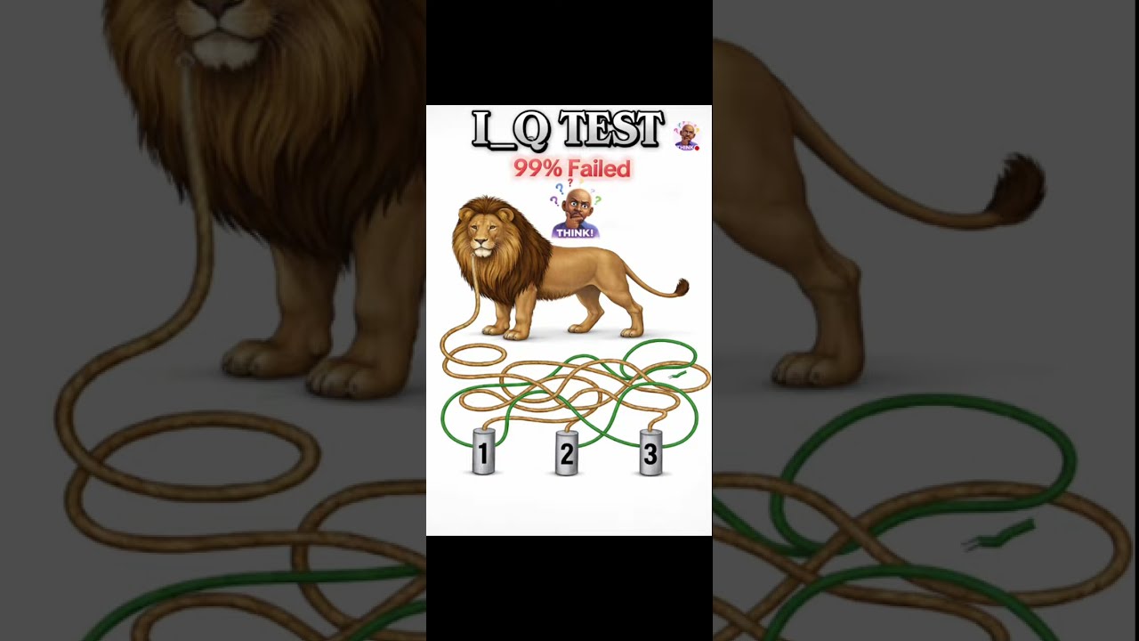 Check your IQ Level???