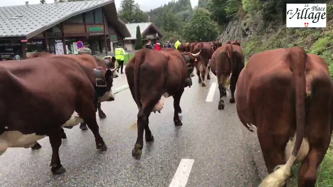LA PLACE DU VILLAGE:la démontagnée (descente d’alpage) dans les Aravis (Haute Savoie-France)