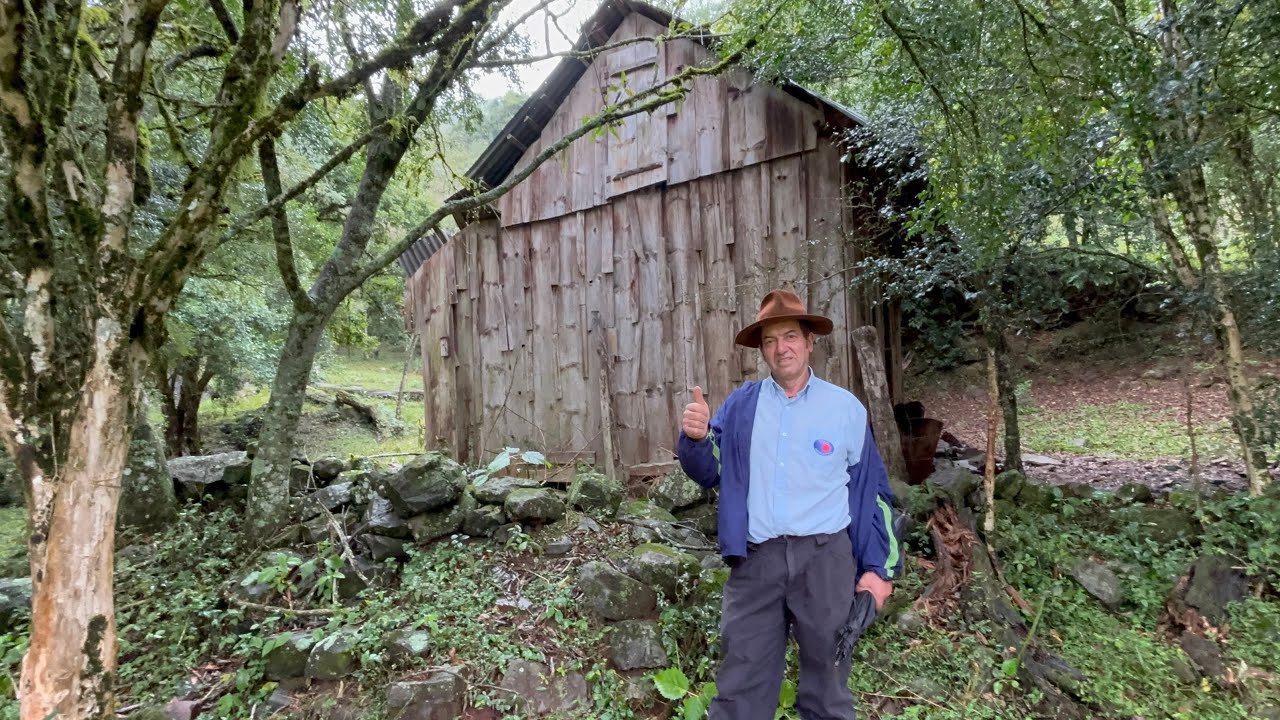 UM RANCHO NO MEIO DO MATO NO FUNDO DA GROTA - CLOVIS TAVARES DE VARGAS MONTE ALEGRE DOS CAMPOS