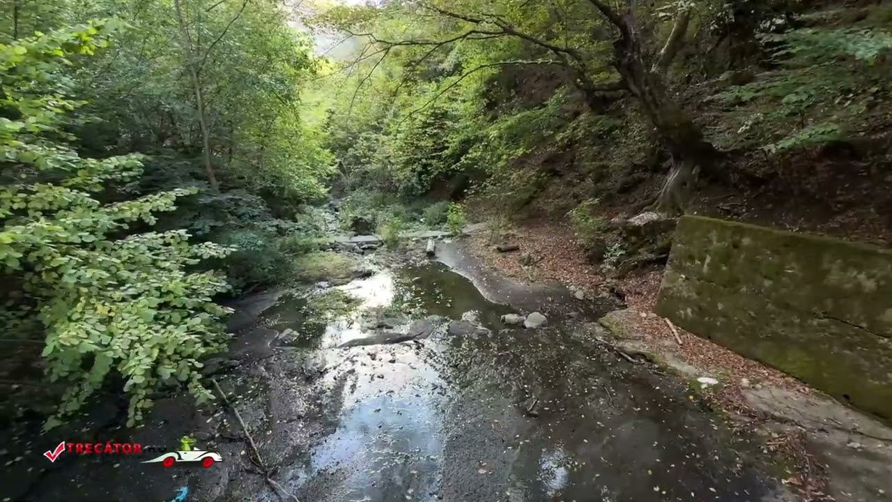 Peştera Ponicova Vest, Mehedinţi, Rom&acirc;nia