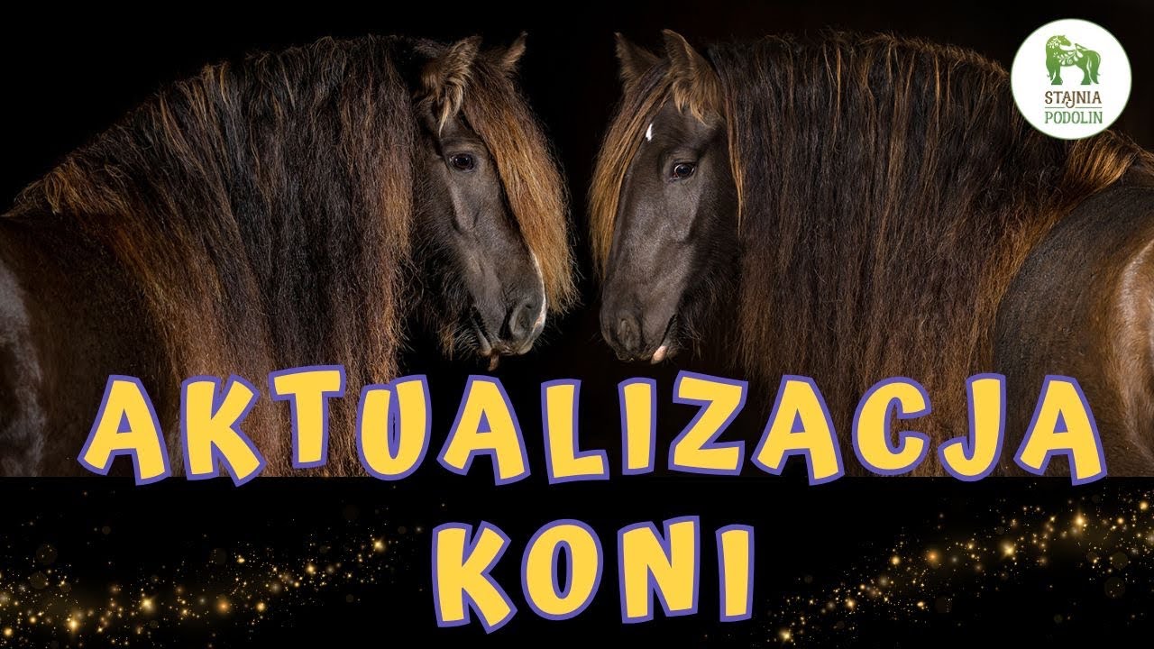 AKTUALIZACJA KONI || Stajenne imiona 🐴