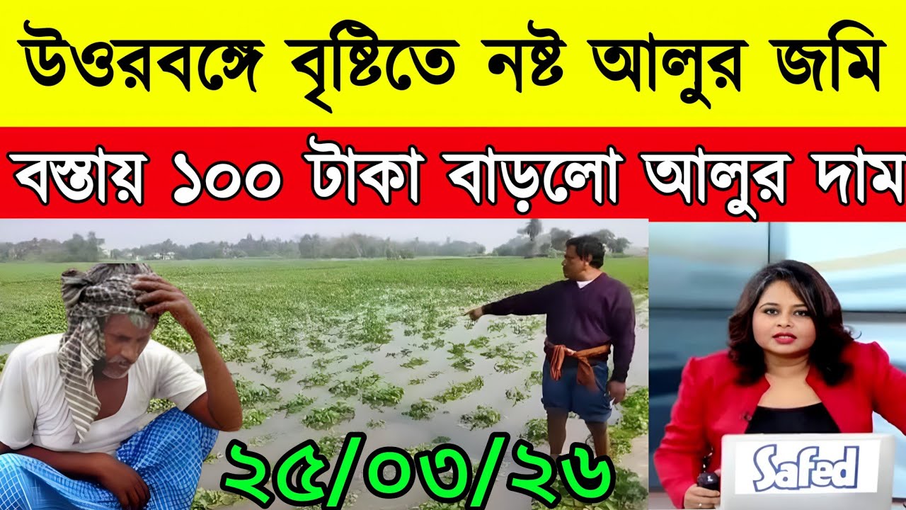 আজকের আলুর বাজার মূল্য/india potato news West bangal/Potato price today west bengal