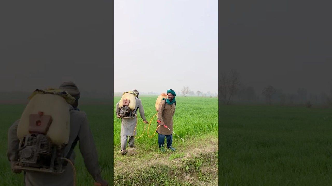 pakistan farming vlog 🌾