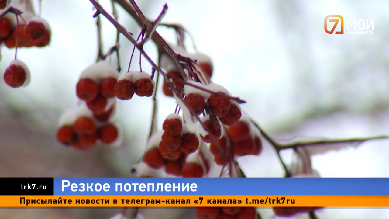 Морозы отпускают Красноярск, но синоптики предупреждают о новых перепадах температуры