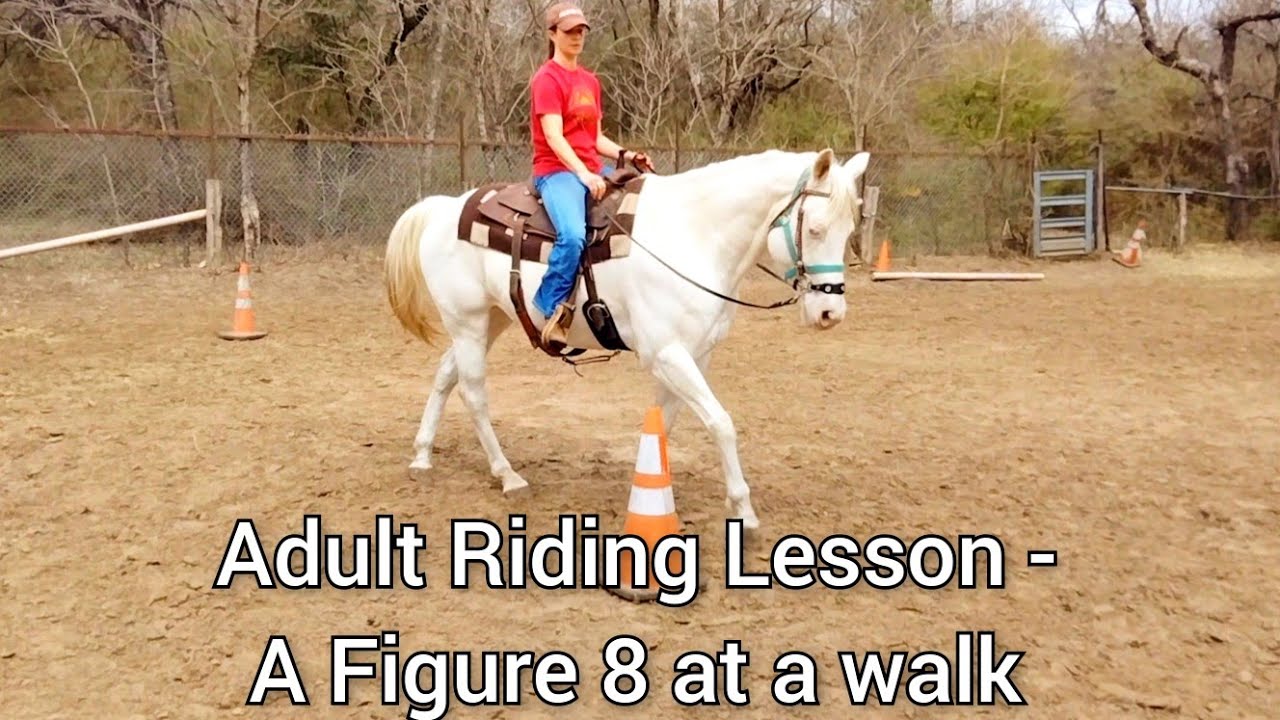 Adult beginner Riding Lesson - Walking a Figure 8 pattern with cones