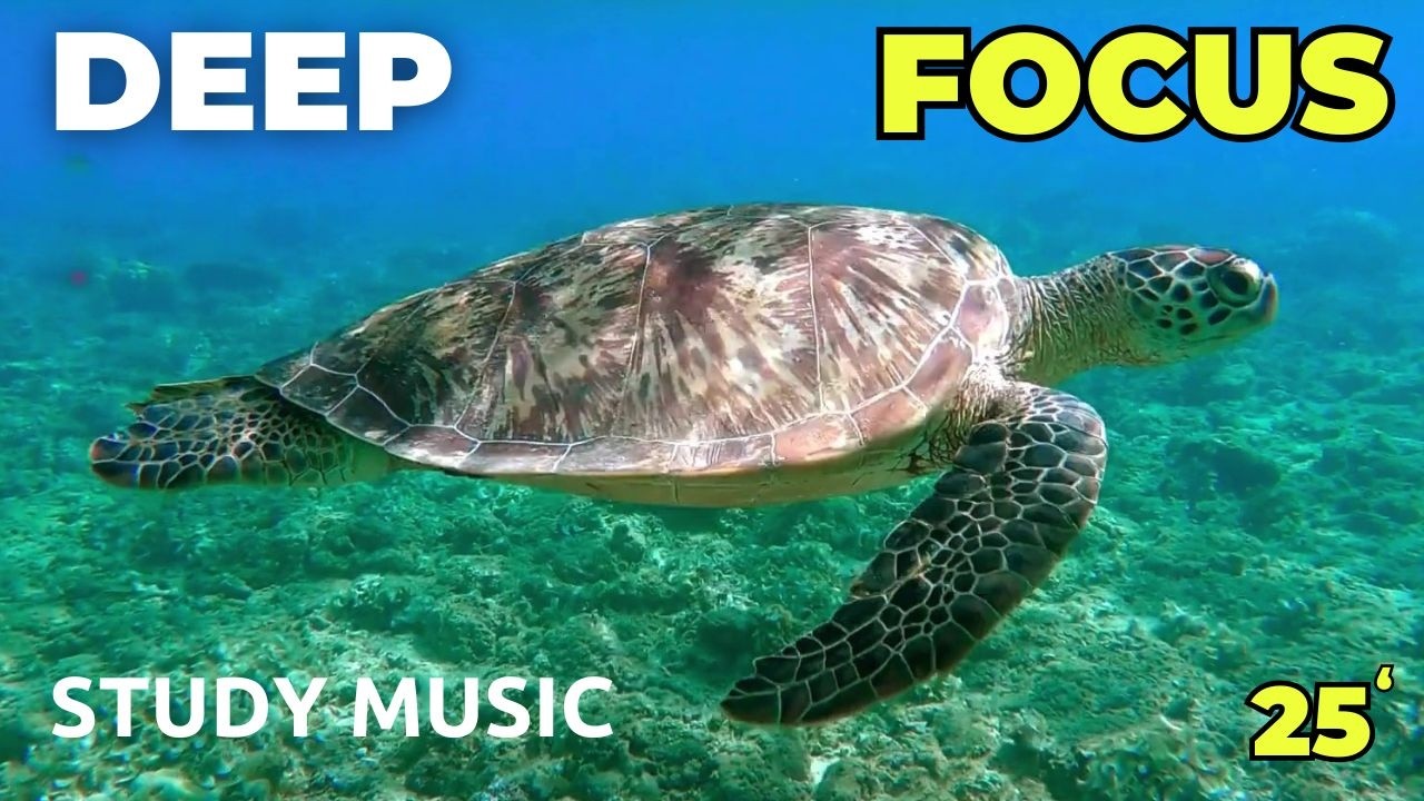 Música para Estudiar y Memorizar 🧠 25 Minutos Deep Focus Pomodoro 🍅