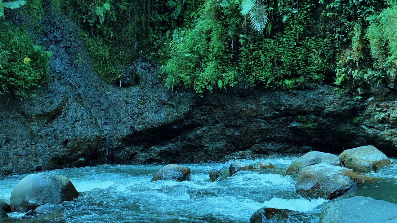 Flowing River Sound for Sleep, Relax, and Stress Relief | ASMR