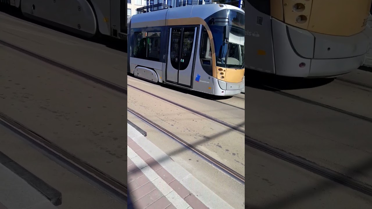 Départ et Arrivée des trams 81 T3000 & PCC + Départ d’un VOLVO Hybrid sur le 61 à arrêt Mérode