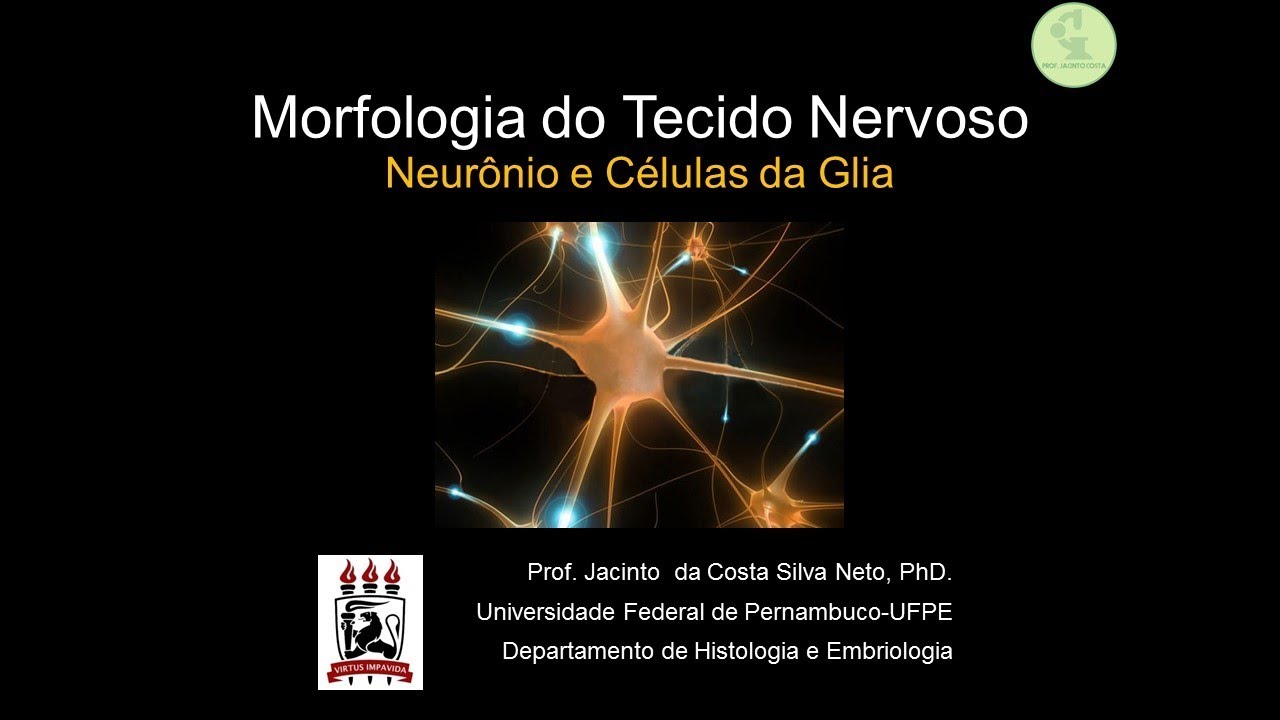9-Tecido Nervoso-I (neurônio e células da glia) - Nível Graduação.