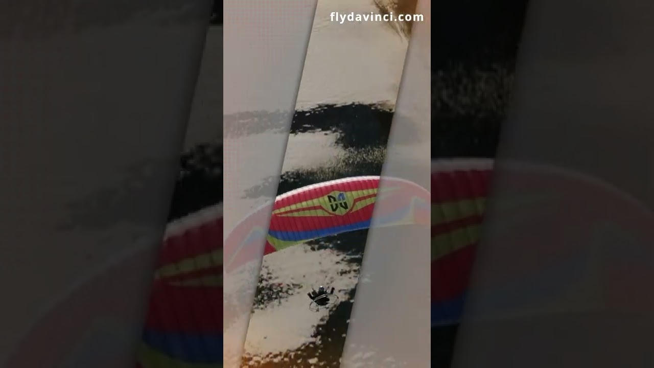 DAVINCI GLIDERS 'DISCO